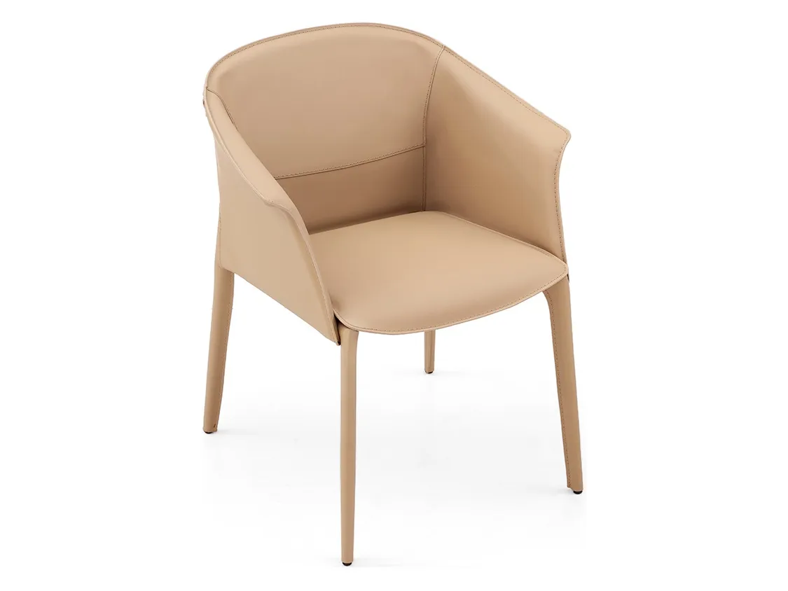 Image of Dining Chairs ICY-Y123